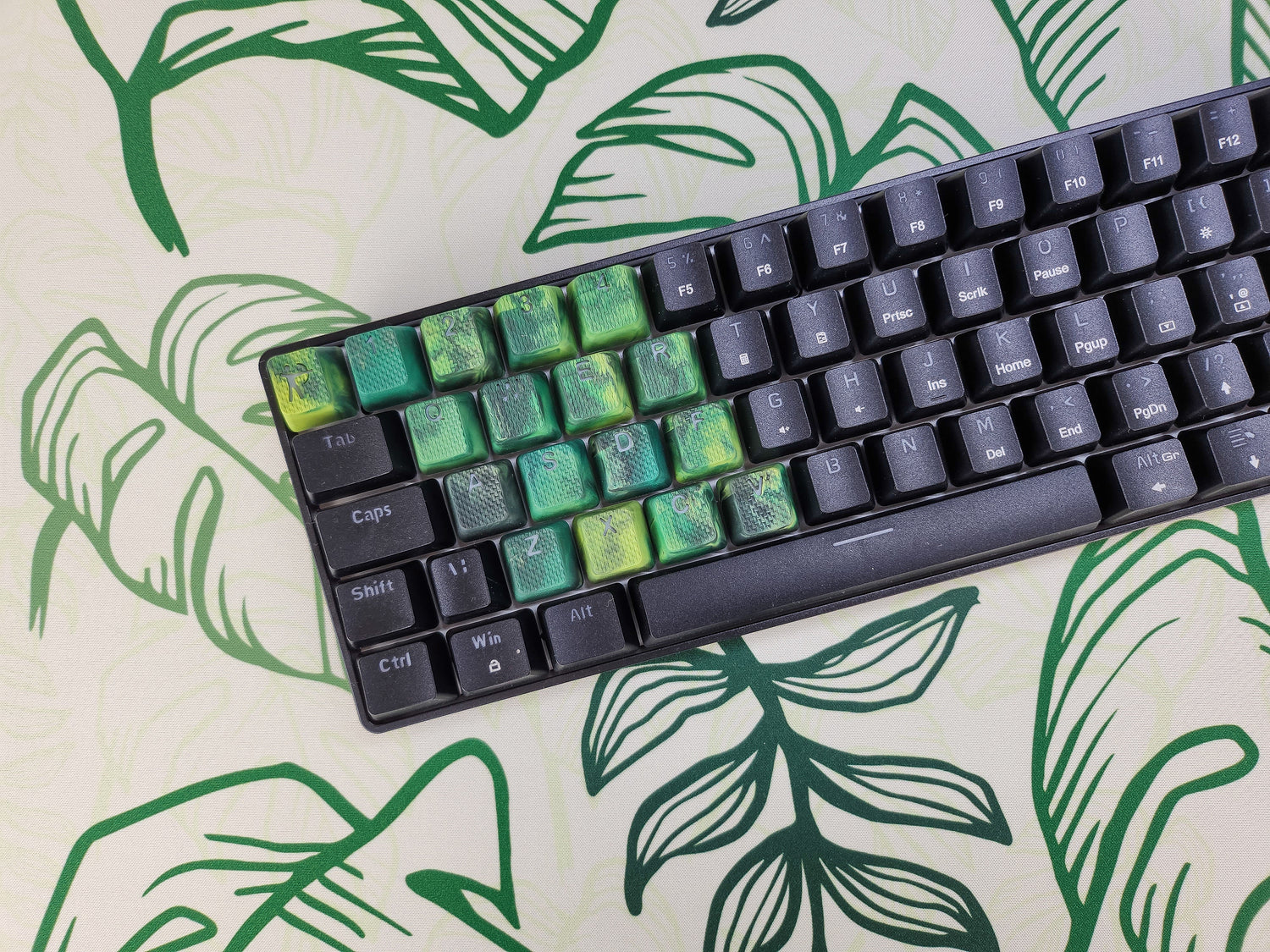 Tropisches Bundle - Licht