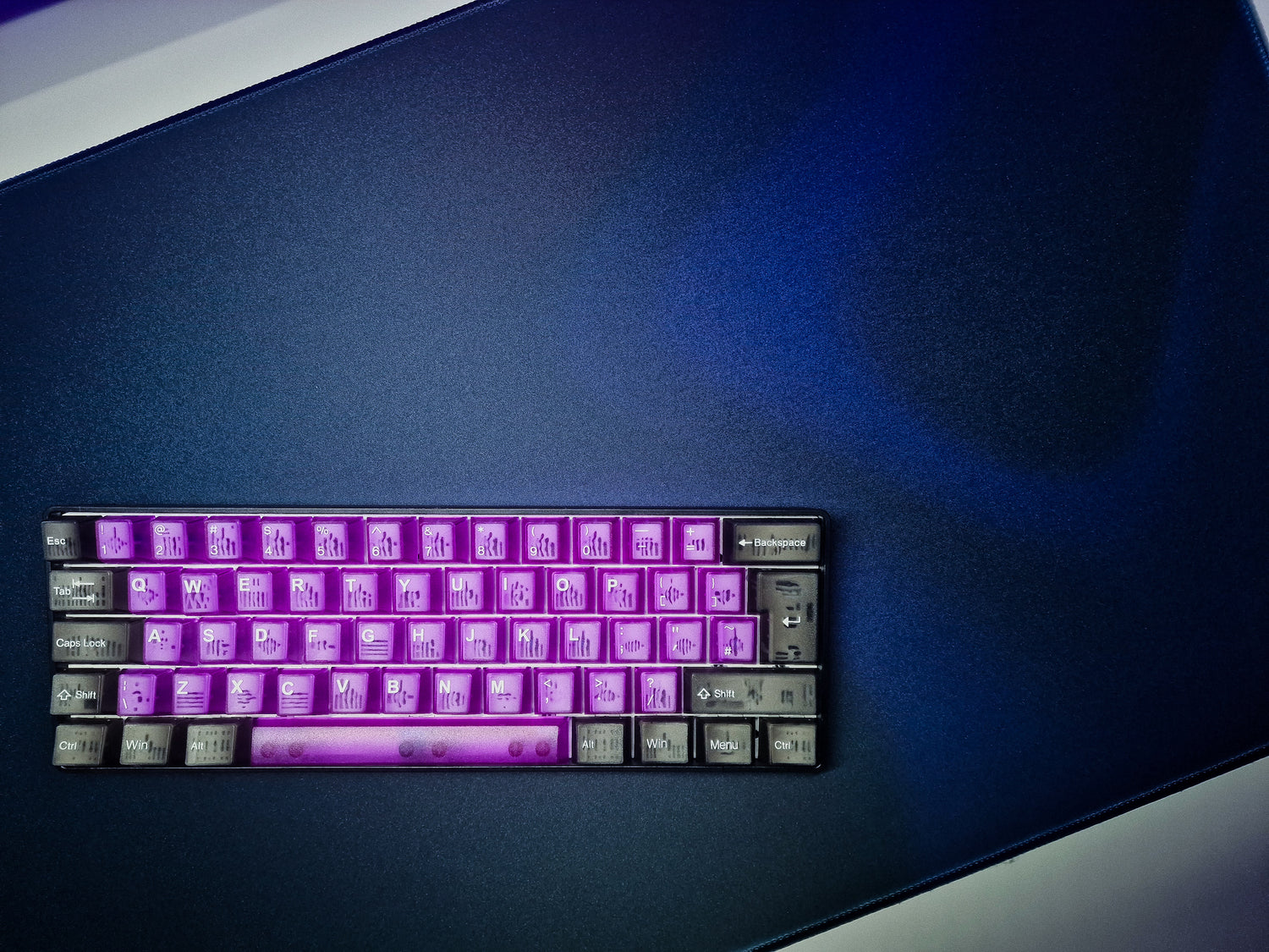 Elemente Lila Bundle