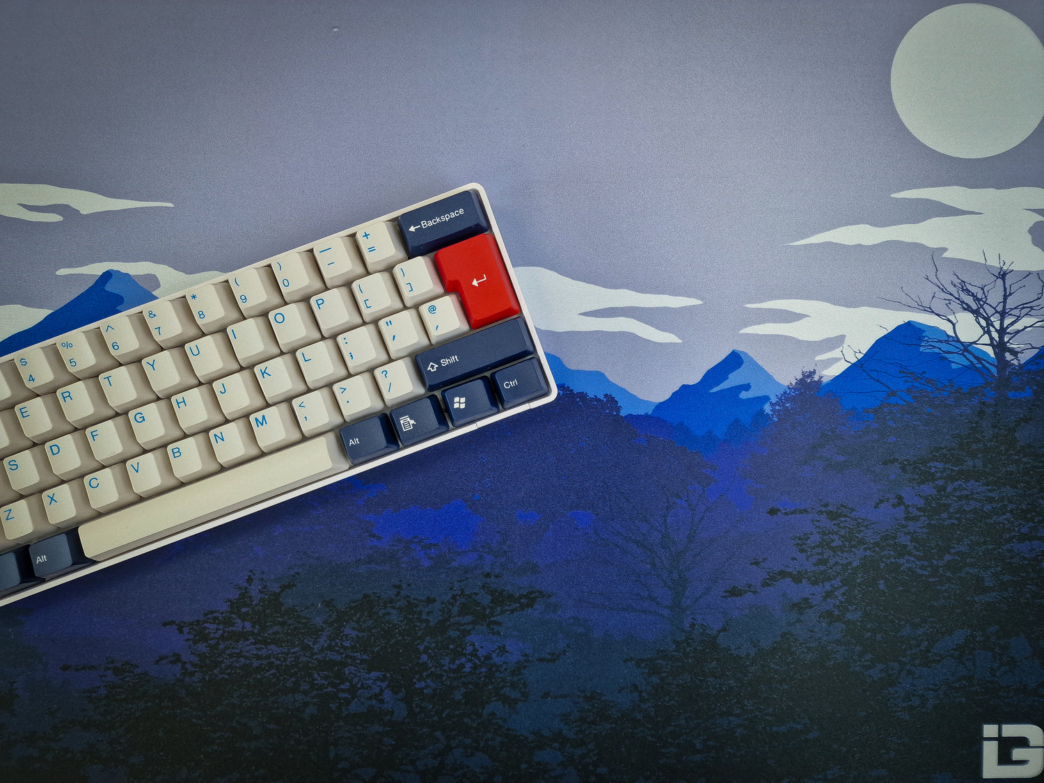 Sonnenuntergang Möwen Bundle