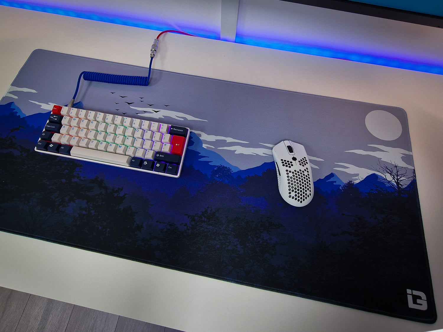 Sonnenuntergang Möwen Bundle