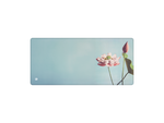 Photosynthesis
