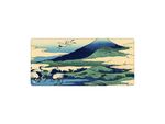 Blue Cranes