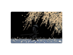 Willow Samurai
