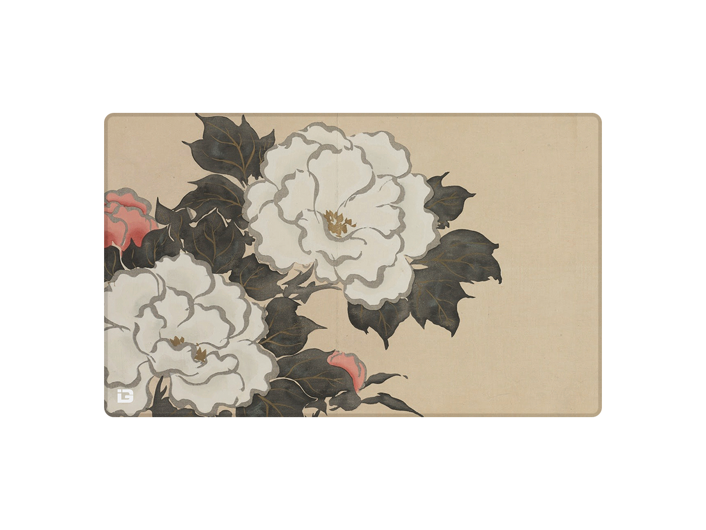 Fleurs
