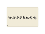 Shadow Puppets