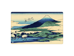Blue Cranes
