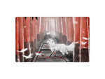 Inari