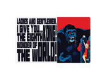 The Eighth Wonder