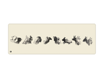 Shadow Puppets