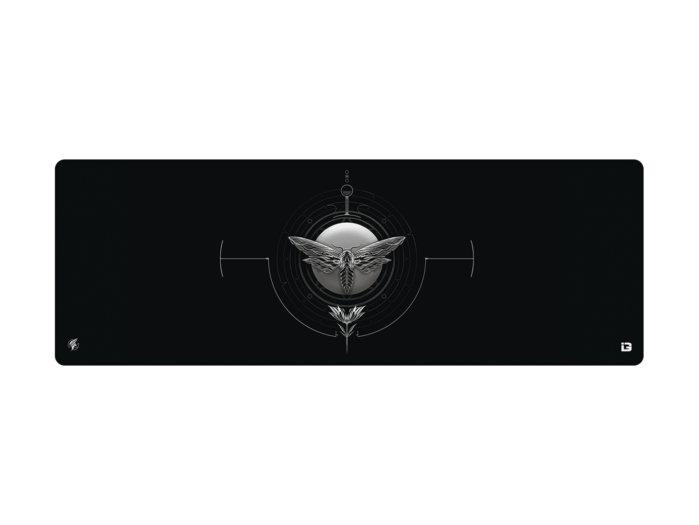 The Moth