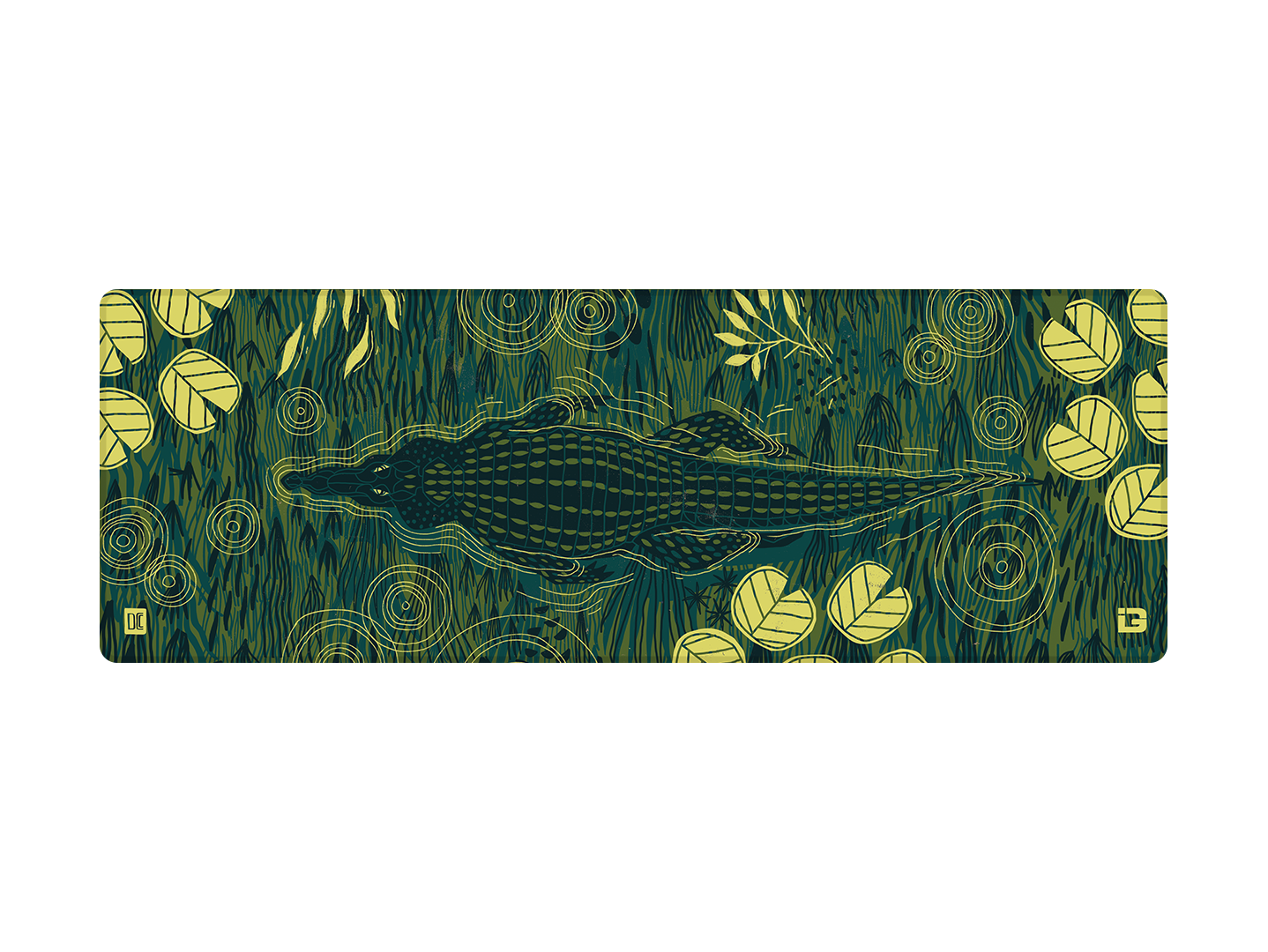 Alligator