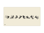 Shadow Puppets