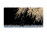 Willow Samurai
