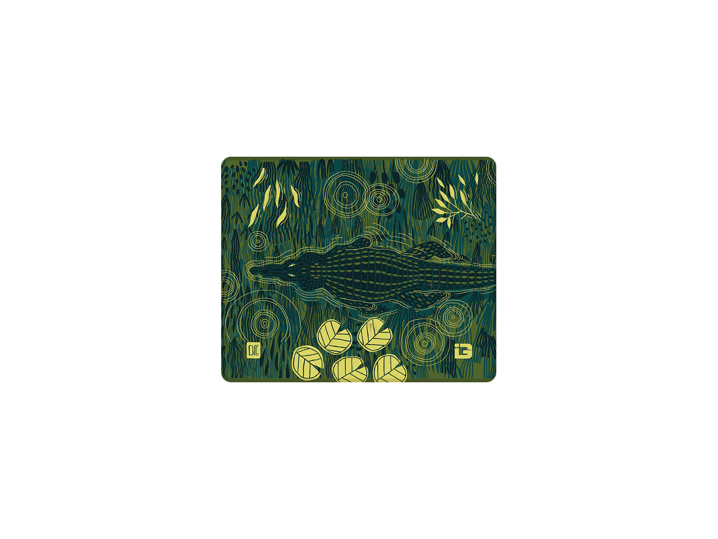 Alligator