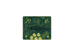 Alligator