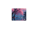 Sakura Lake