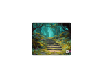 Fantasy Forest Path