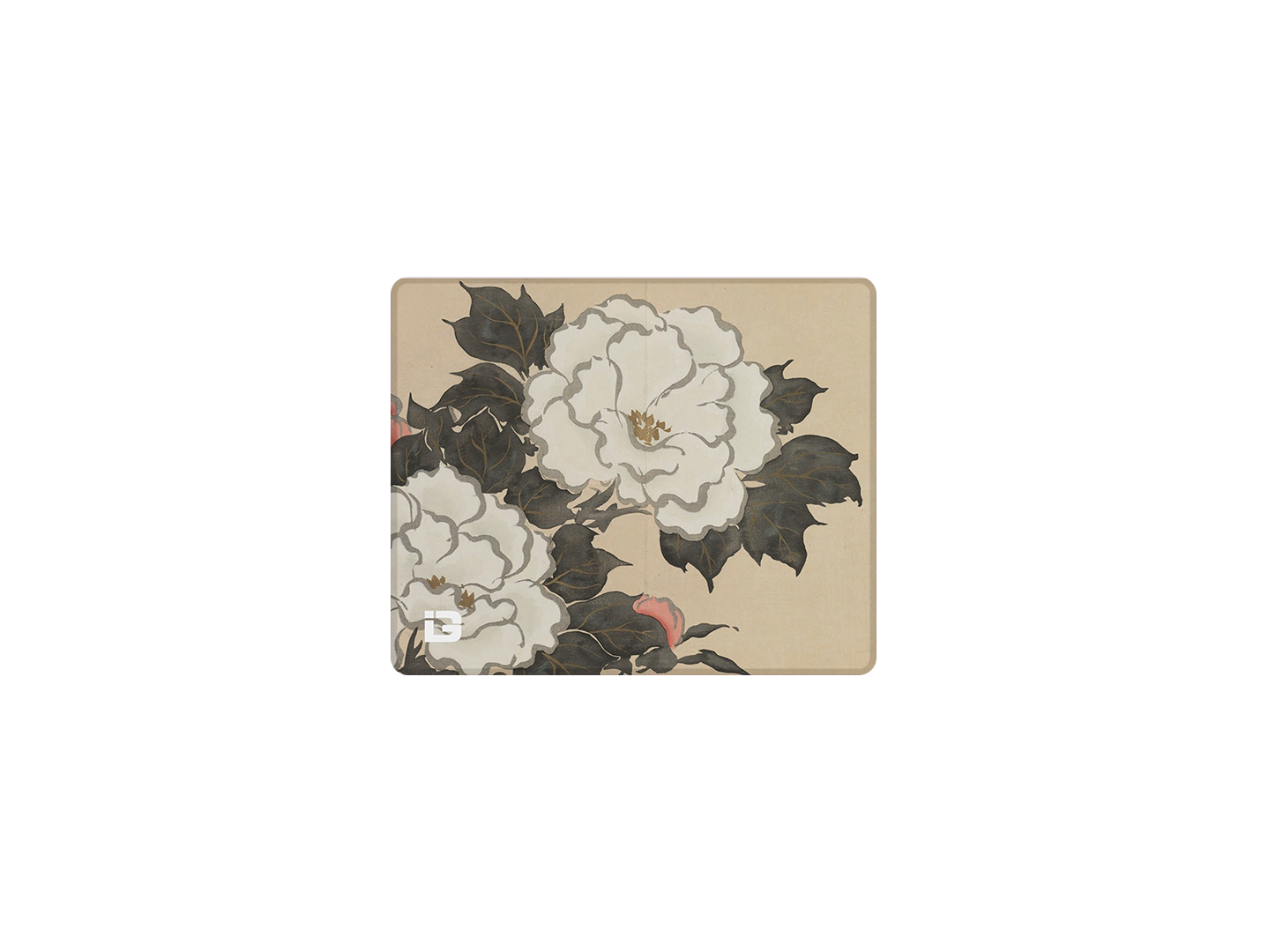 Fleurs