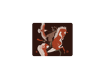Crazy Horse