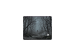 The Forest (Limited edition)