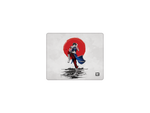 Chinese Martial Arts Fighter