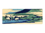 Blue Cranes