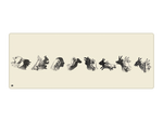 Shadow Puppets