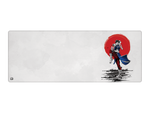 Chinese Martial Arts Fighter