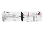 Samurai Warrior