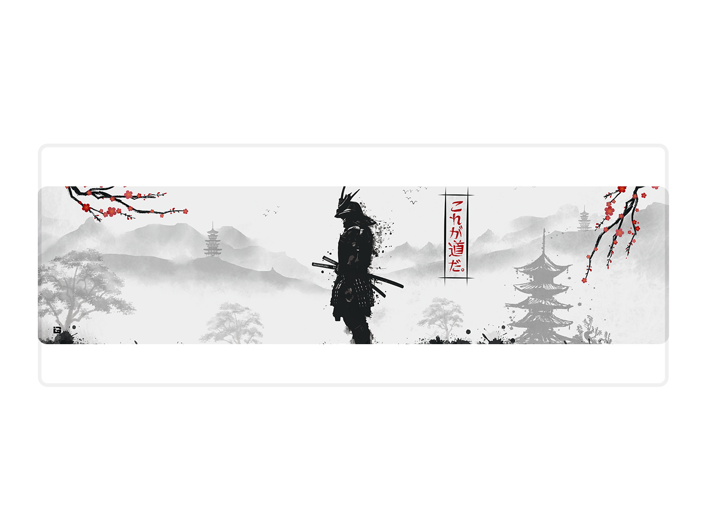Samurai Warrior