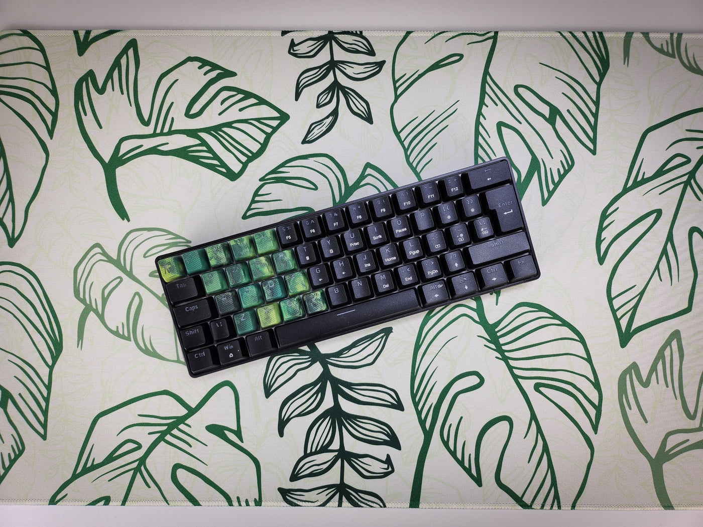 Tropical Bundle - Light