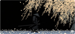 Willow Samurai