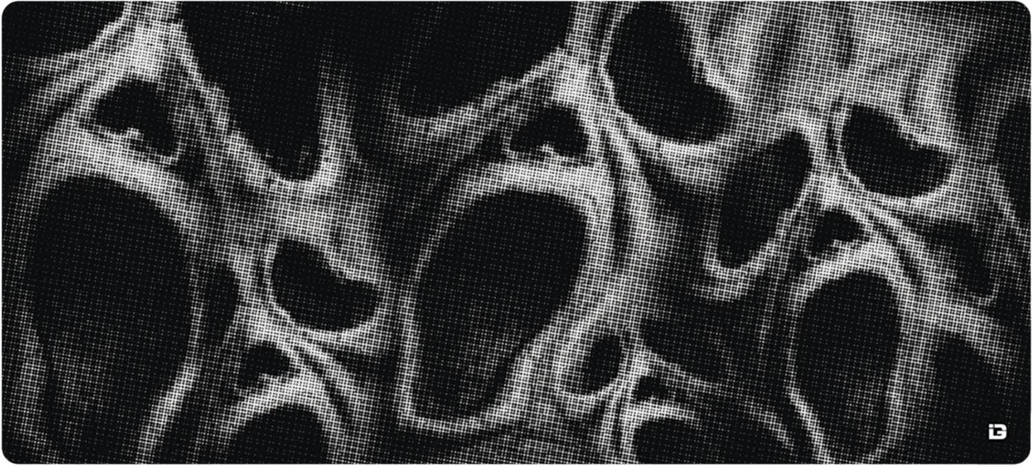 The Face (Limited edition)