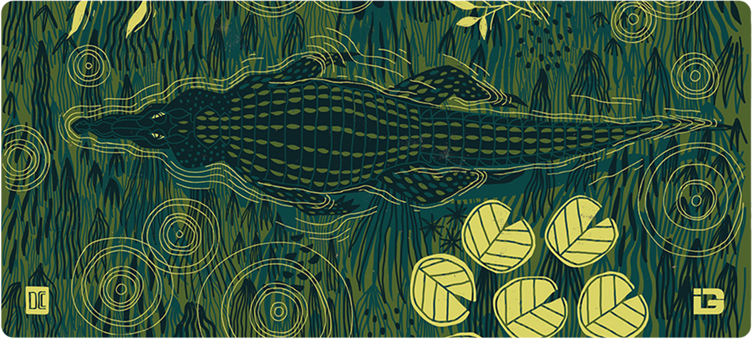 Alligator