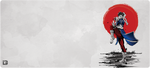 Chinese Martial Arts Fighter