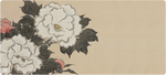 Fleurs
