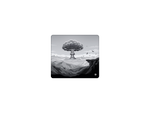 Nuked