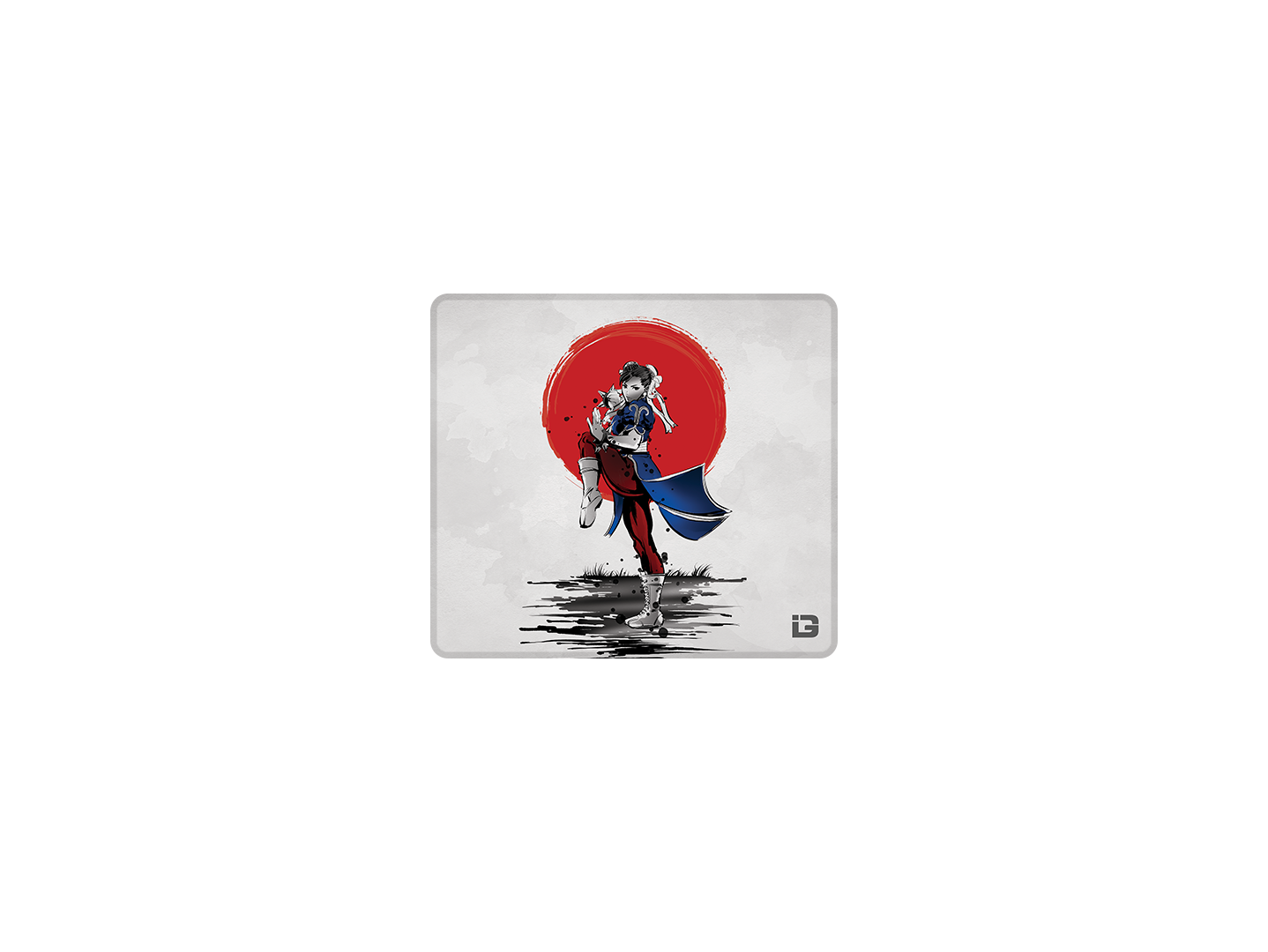 Chinese Martial Arts Fighter