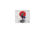 Chinese Martial Arts Fighter