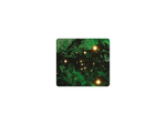 Green Cluster