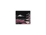 Midnight Pagoda