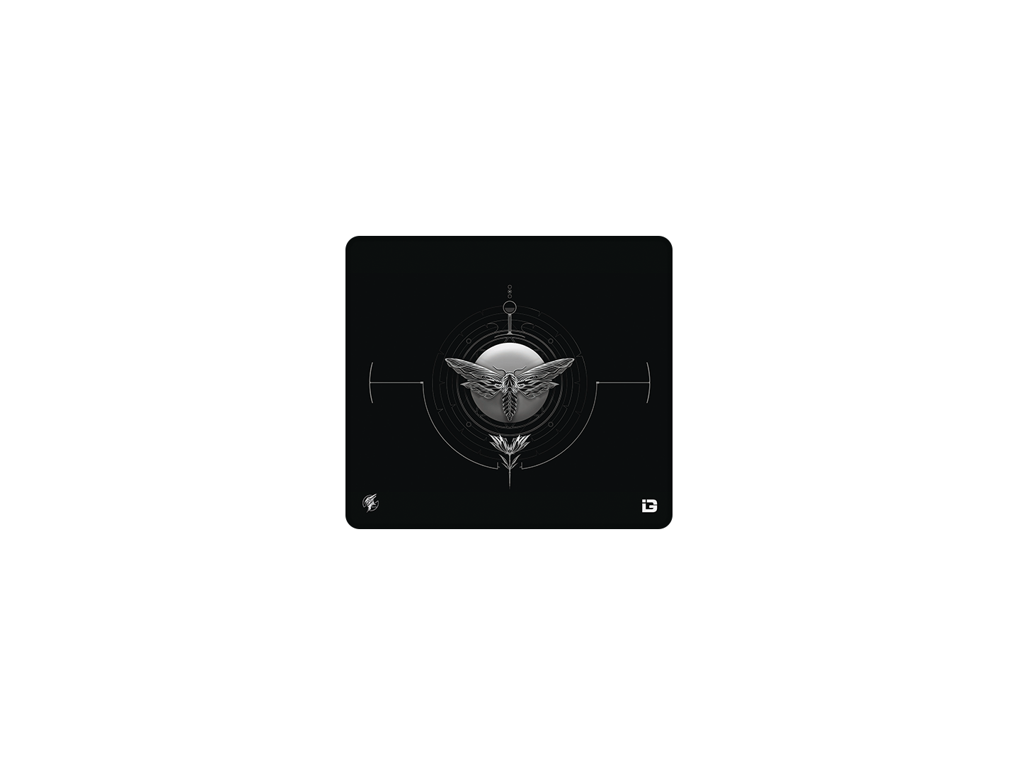The Moth