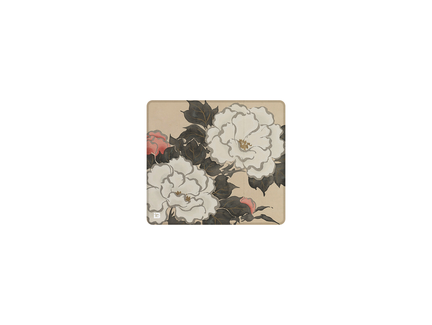Fleurs