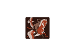 Crazy Horse