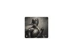 Knightess