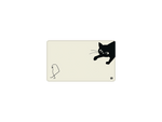 Cat And Bird