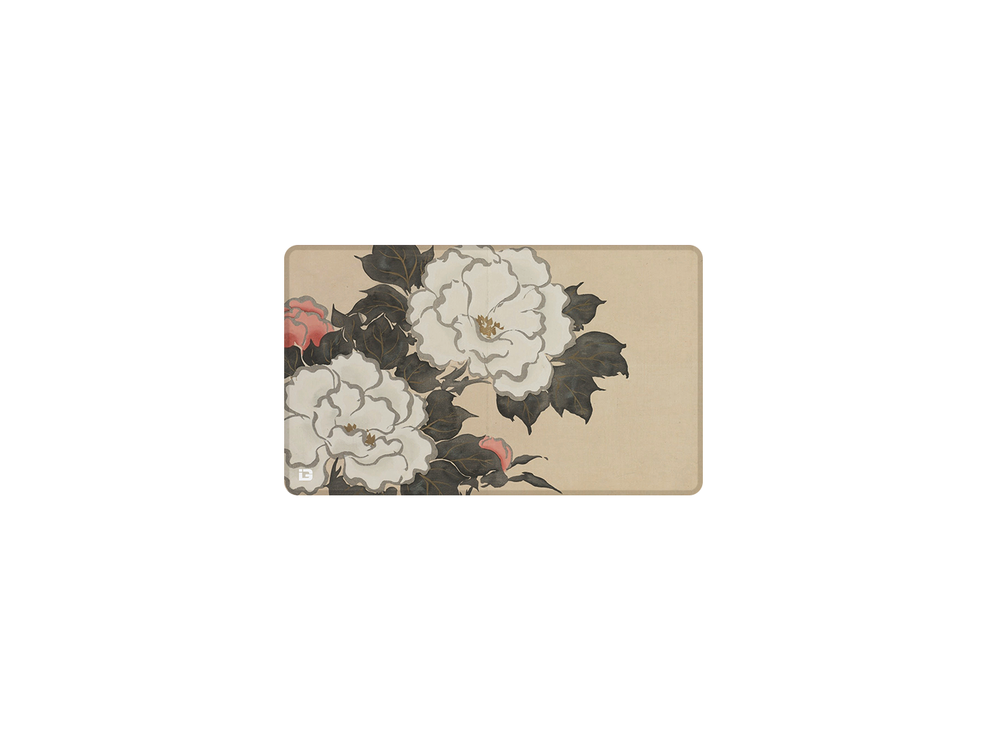 Fleurs
