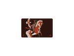 Crazy Horse