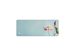 Photosynthesis