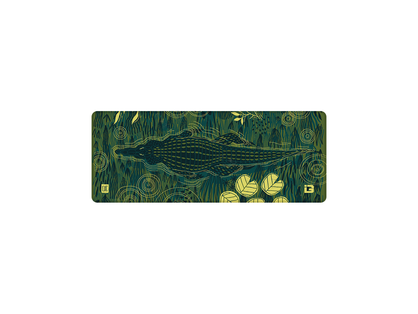 Alligator